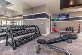 Weight room with dumbbell rack and adjustable bench